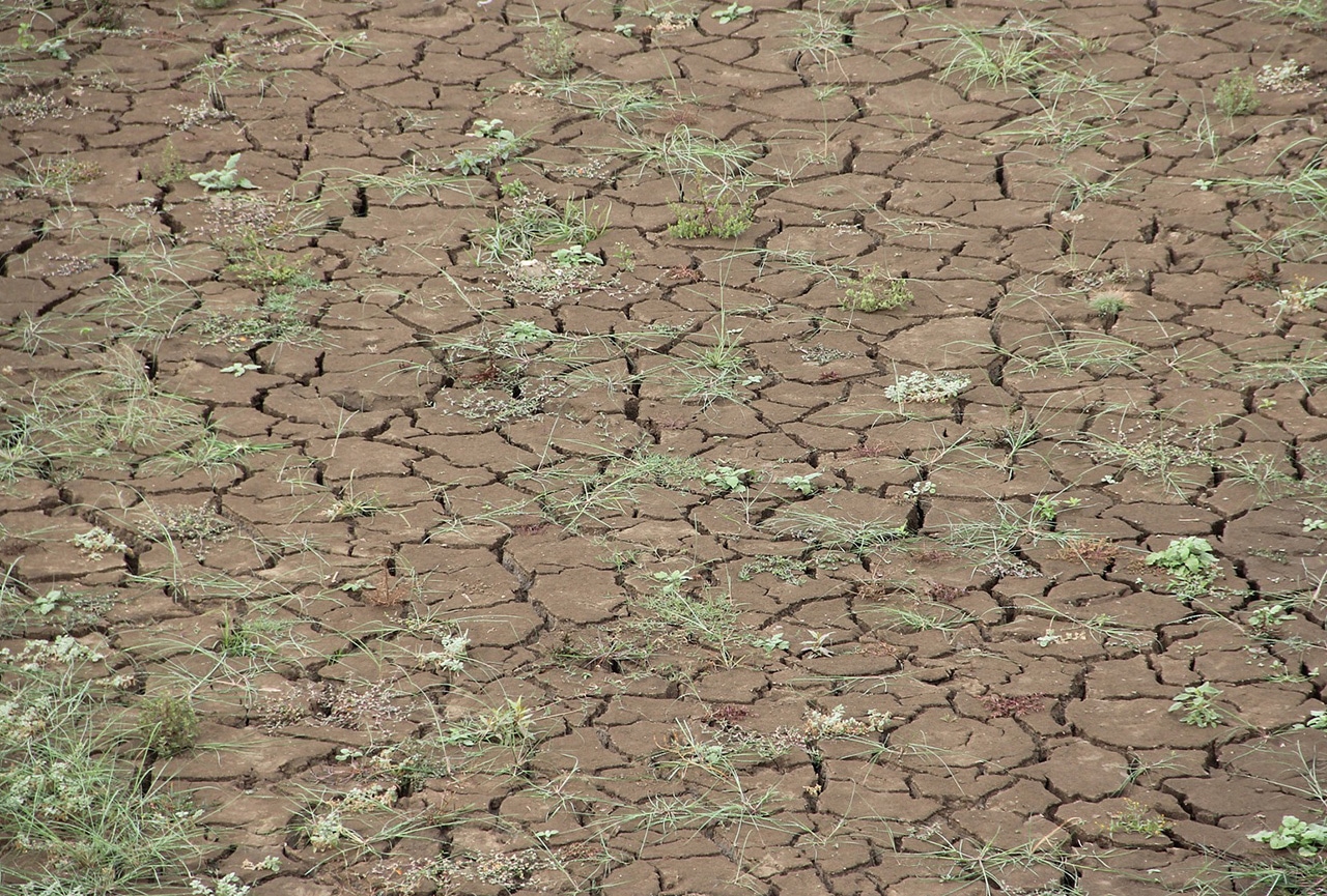 Sinistre catastrophe naturelle : focus sur l’expertise sécheresse